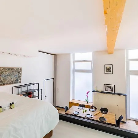 Historical Center Loft Apartment Bordeaux